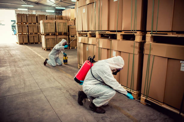 Best Wildlife Control Services  in Grain Valley, MO