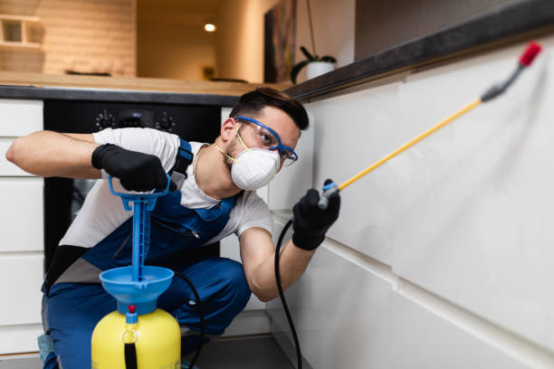 Best Pest Inspection Near Me  in Grain Valley, MO