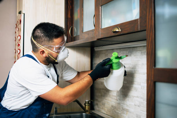 Pest Prevention Services in Grain Valley, MO