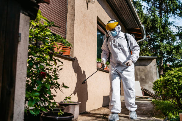 Best Mosquito Control Services  in Grain Valley, MO