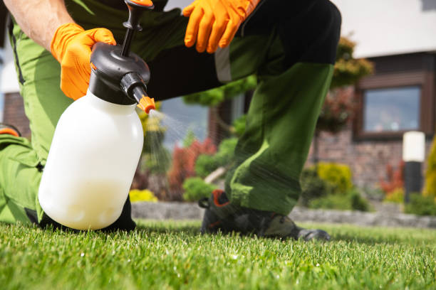 Best Bed Bug Extermination  in Grain Valley, MO