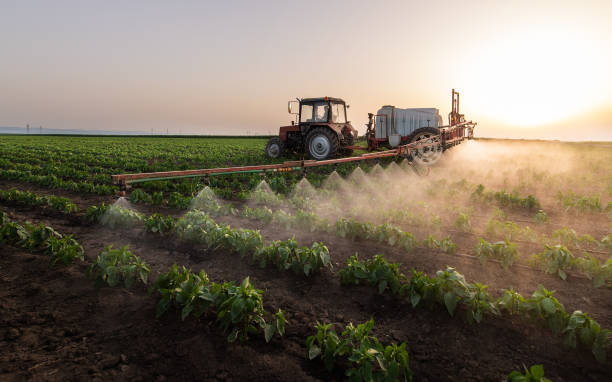 Best Pest Removal Services  in Grain Valley, MO