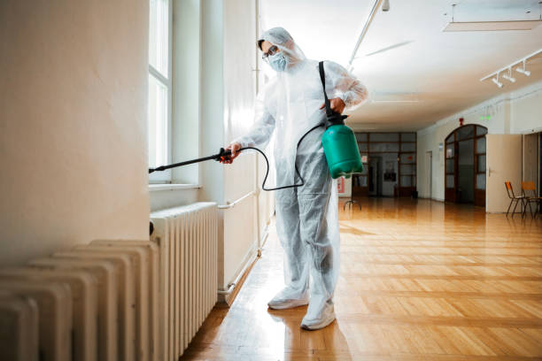 Best Residential Pest Control  in Grain Valley, MO
